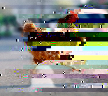image.jpg