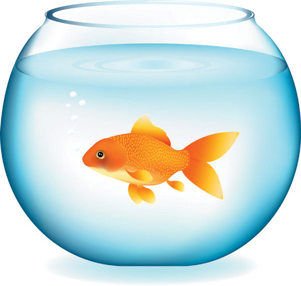 gold-fish-in-a-bowl-clip-art-b_1303710934717.jpg